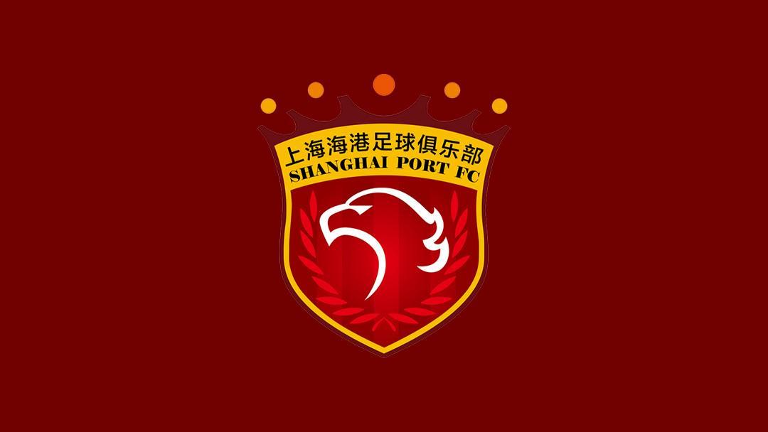开云体育-海港新赛季大名单：共35人在列，加布里埃尔11号，张源6号